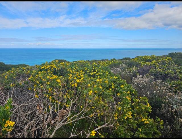 LAND FOR SALE IN VILLAGE ON SEA